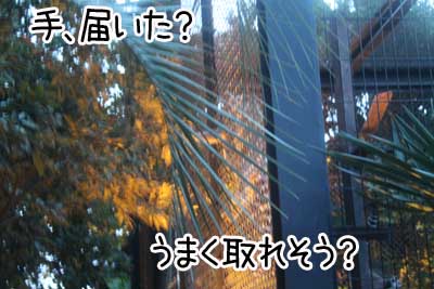夜１９.JPG