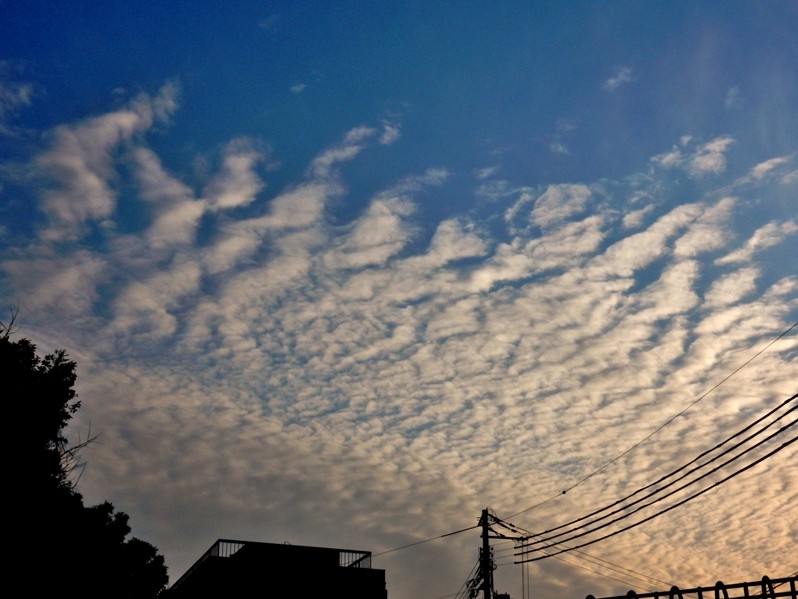 夕暮れ