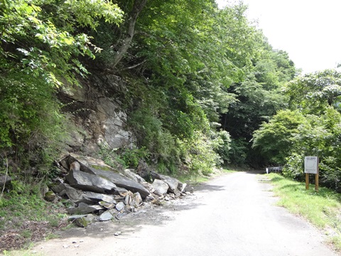 DSC06167.JPG