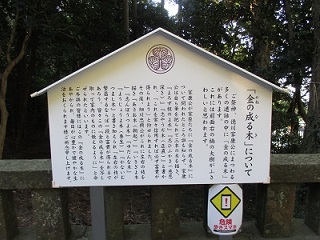 64.jpg