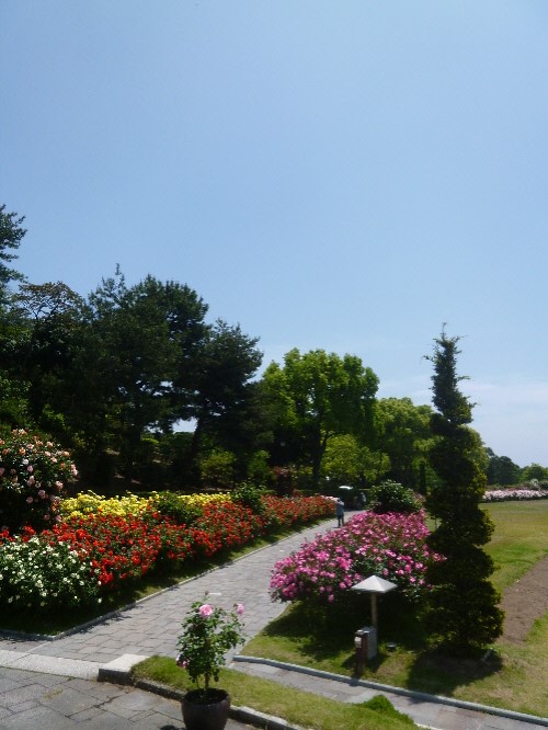 P1100714(1).JPG