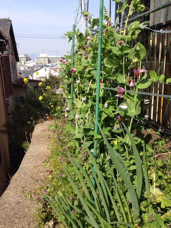 rblog-20160406222111-03.jpg