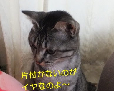 20121126_2.jpg