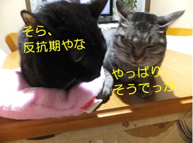20121205_2.jpg