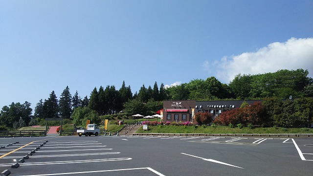 DSC_0811.jpg