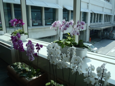 沖縄磯採集2014年9月中旬7　那覇空港