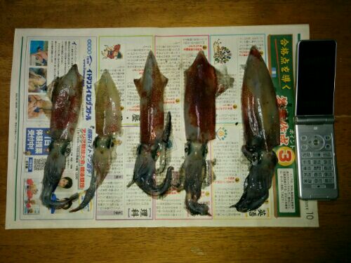 rblog-20160821113227-01.jpg