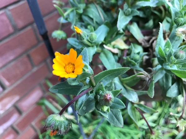 rblog-20170223222238-05.jpg