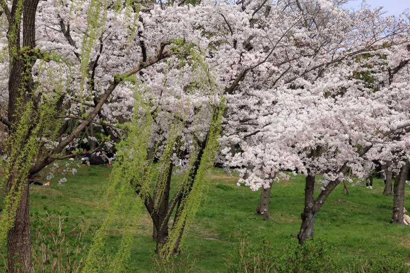 万博記念公園_004.jpg