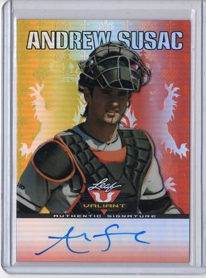 andrew susac