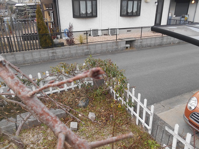 DSCN1676.JPG