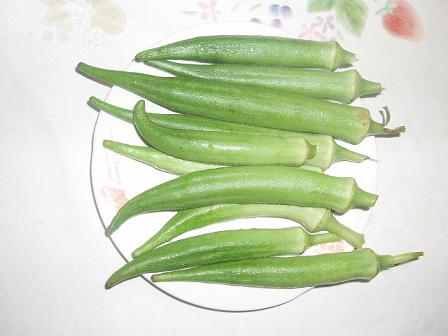 P1010040.JPG