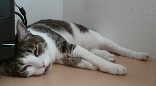 P1220471-ass.jpg
