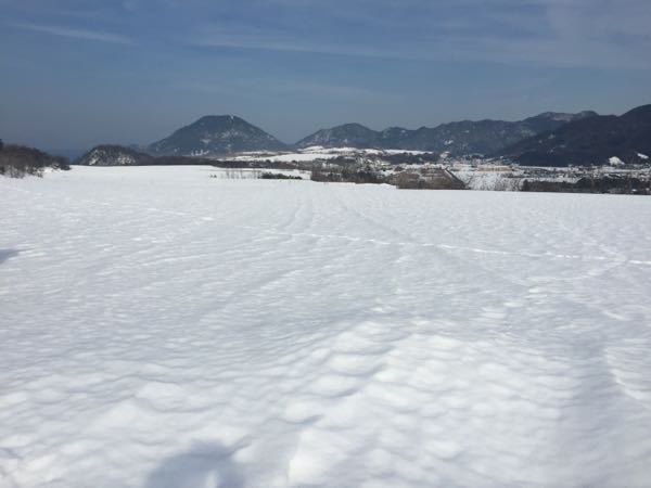 rblog-20170216222216-04.jpg