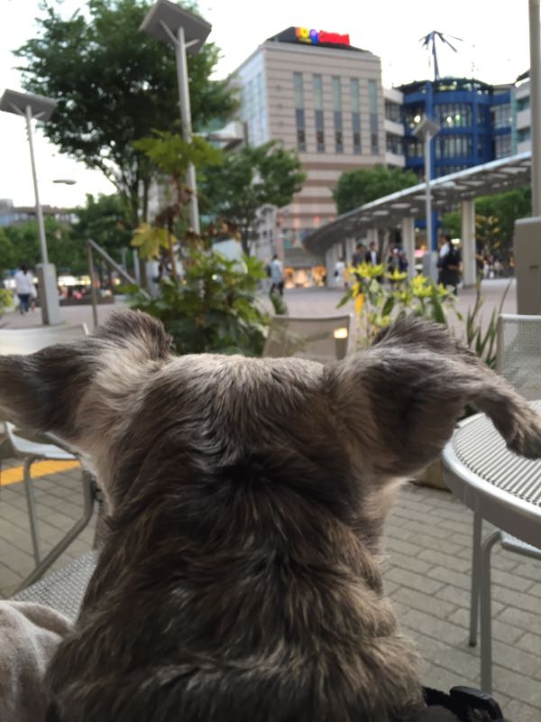 rblog-20160522014612-07.jpg