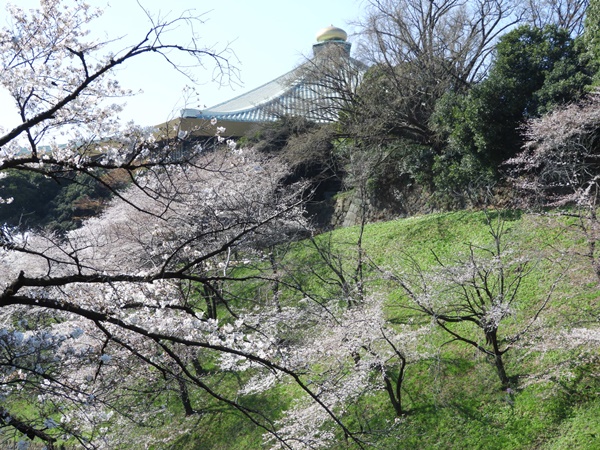 千鳥ヶ淵緑道