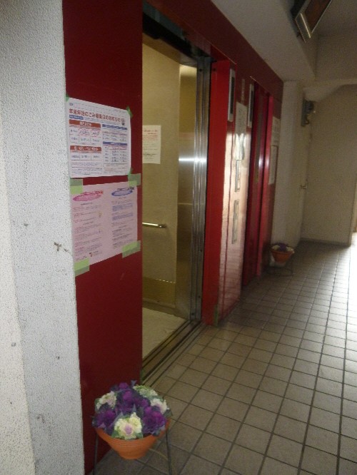 P1080169(1).JPG