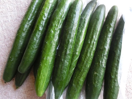 キュウリ