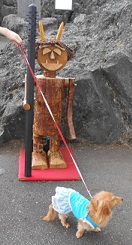DSCN0145.JPG