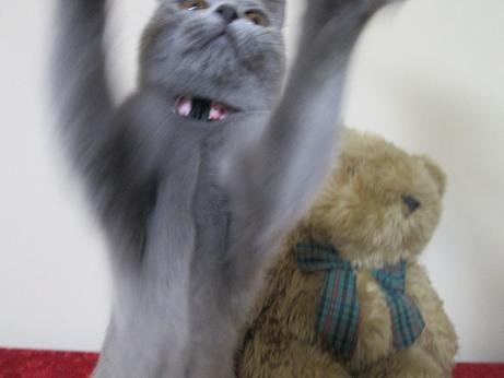 しょくぜんのうんどう３.JPG