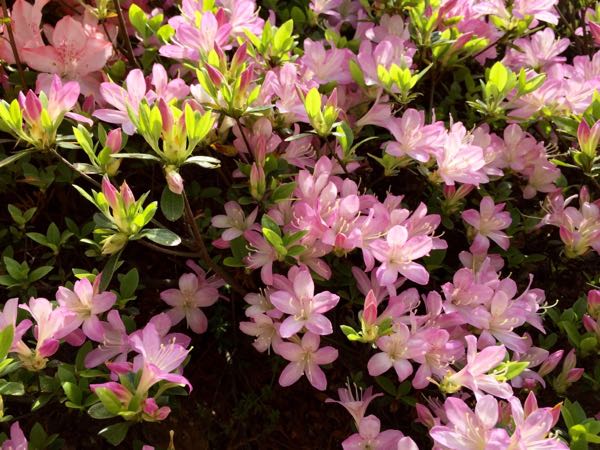 rblog-20160416204812-03.jpg