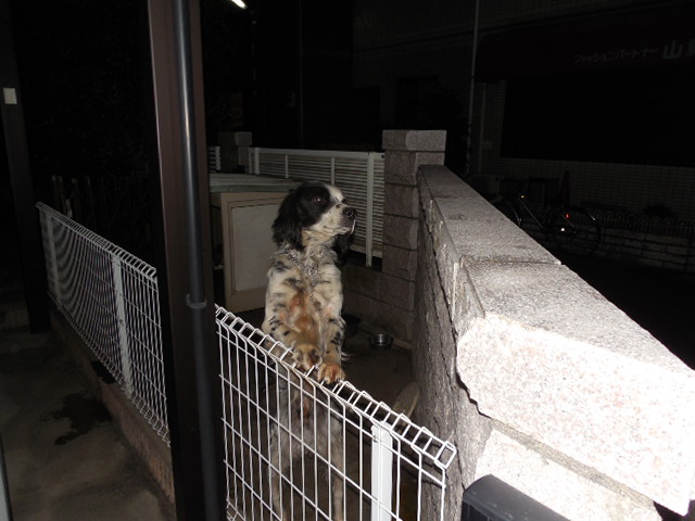 ブログ1・16 024.JPG