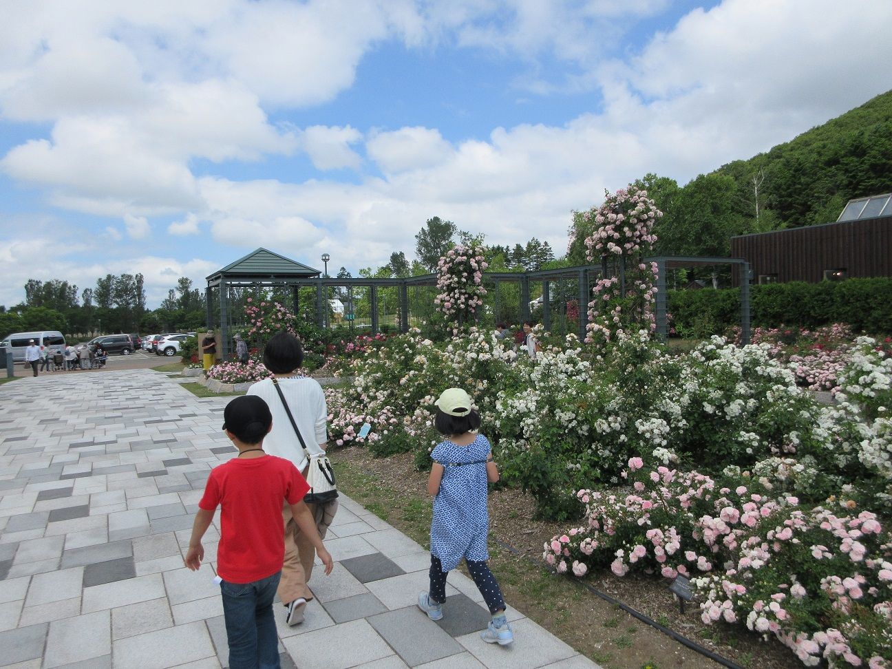 北海道 花紀行19 18 岩見沢バラ園 アイヌモシリの春夏秋冬 Beautiful Seasons Of Hokkaido 楽天ブログ