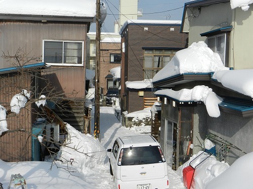 DSCN5783.jpg