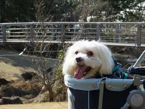 葛西臨海公園にて