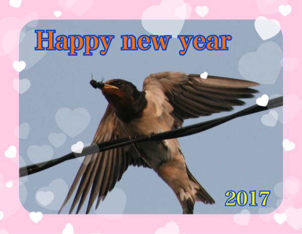 rblog-20170101112932-01.jpg