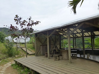 P1030480111.jpg