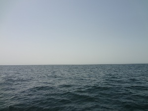 DSC02813.JPG