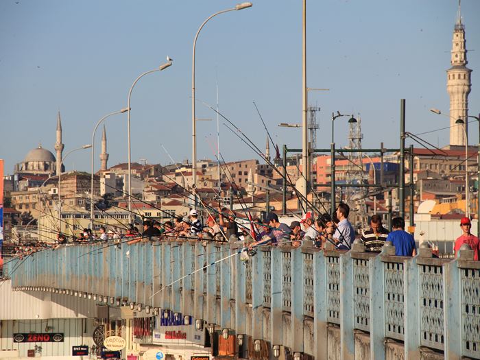 IMG_5458_R.JPG