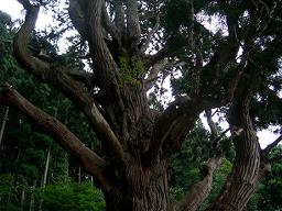 DSCN5881-w256.jpg