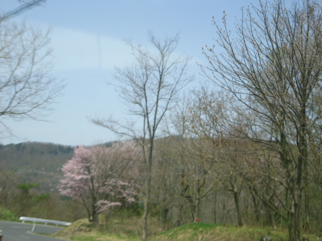 01.JPG