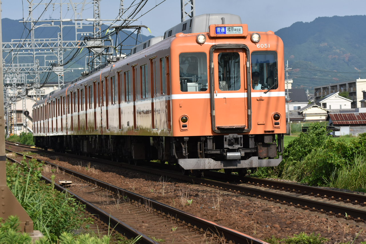 DSC_9992.JPG