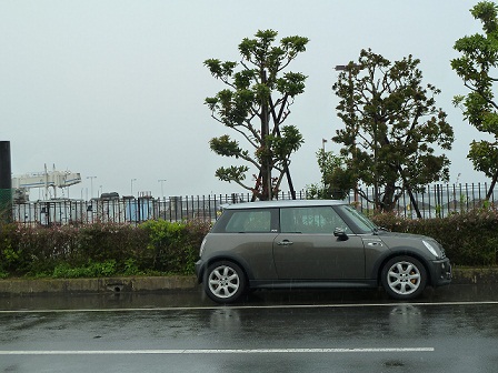 2013.6.26 002.JPG