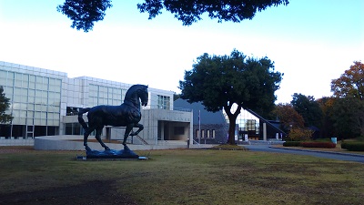 美術館と博物館