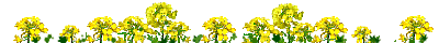 鼻ライン