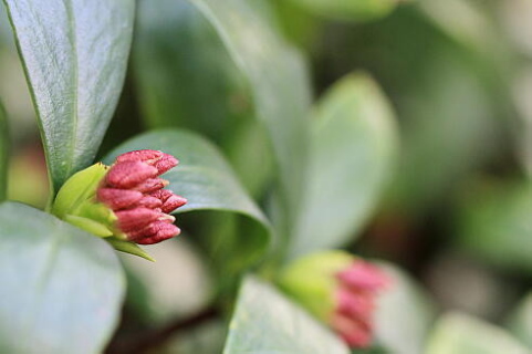 120204r1_2.jpg