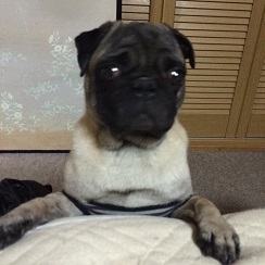 僕は・・・