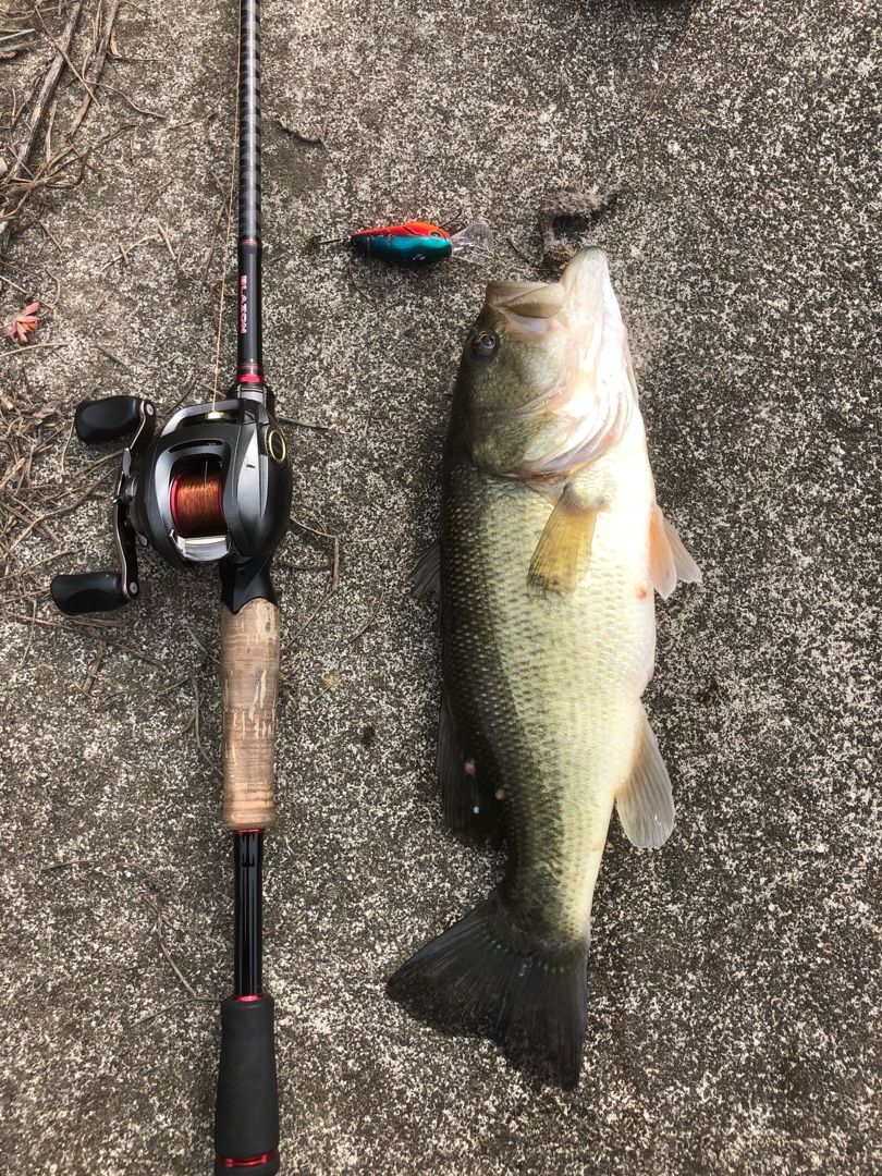 釣り タックル ヤメリカンスナイパーの備忘録的な何か 楽天ブログ