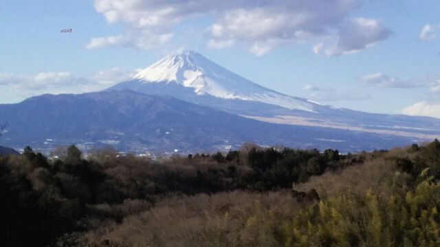 2月7日ヨガ.jpg