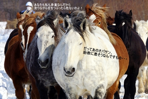 十勝牧場馬追い運動