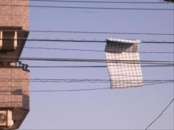 画像はイメージです