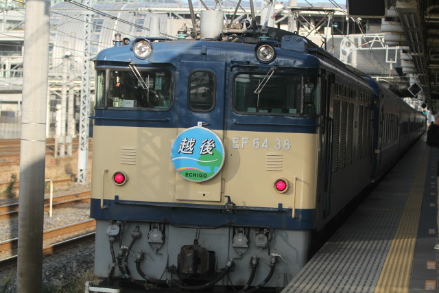 朝日を浴びて EF81 95=EF64 38 団臨 「越後」2