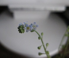 IMG_8331.JPG