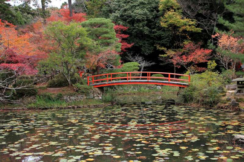 大原野神社_008.jpg