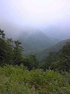 120817_153233.jpg