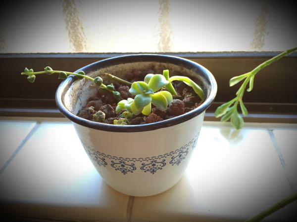 rblog-20151230163511-04.jpg